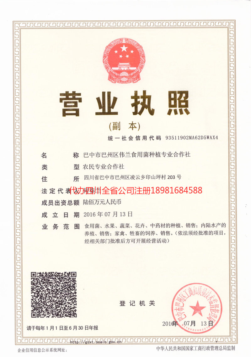 葫芦岛葫芦岛伟兰食用菌种植专业合作社